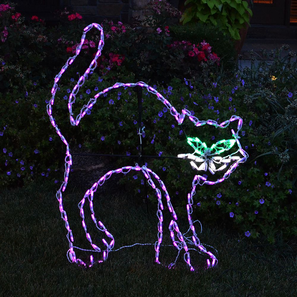 LED Black Cat