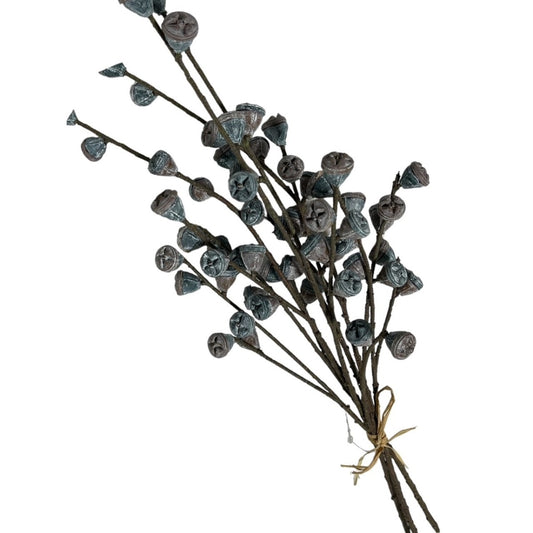 4 Berry Pod Picks