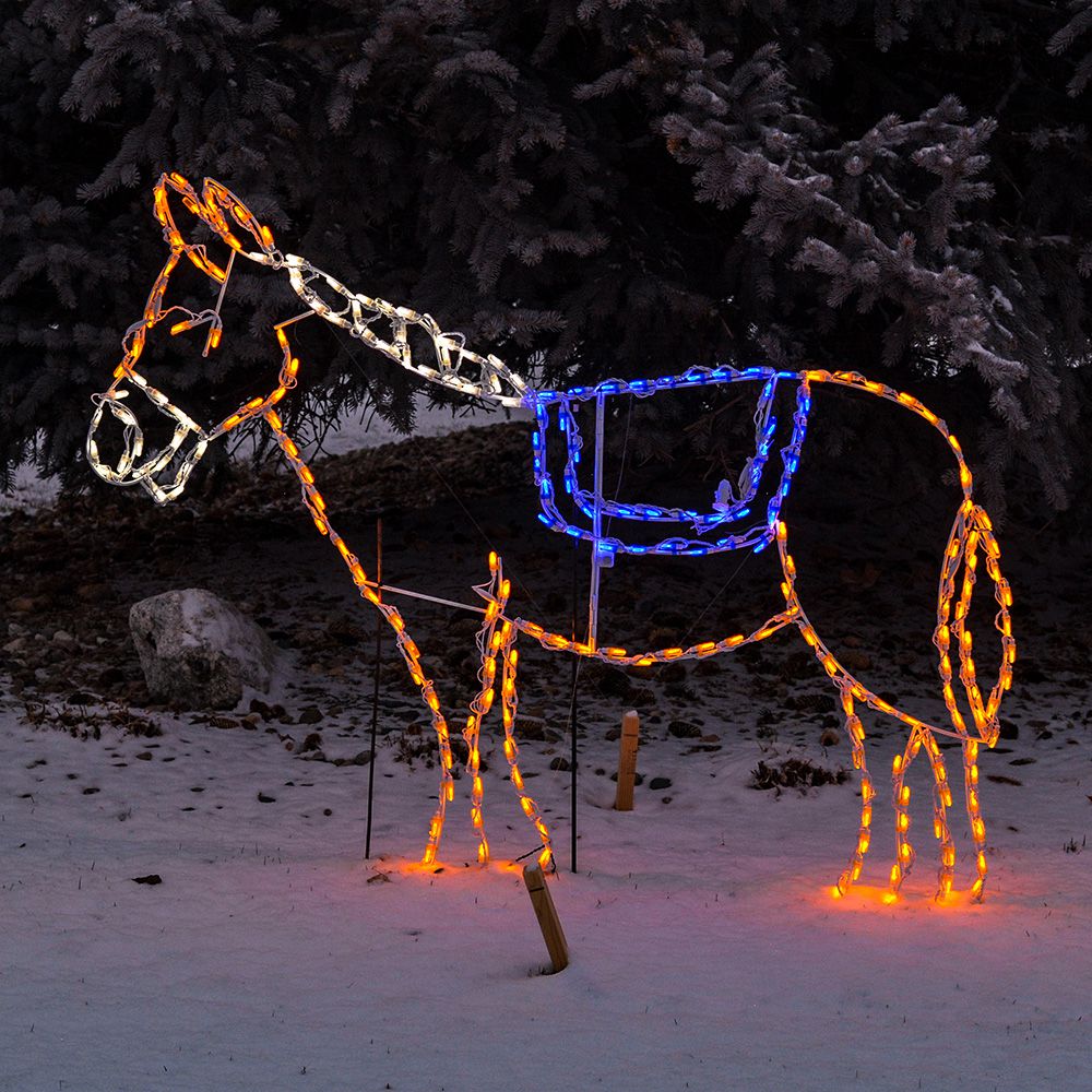 LED Donkey