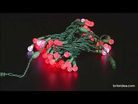 LED 70's Raspberries (RGB)