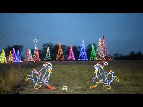 LED Hockey Penguin w/ Puck (Right Facing)