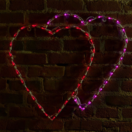 LED Double Heart