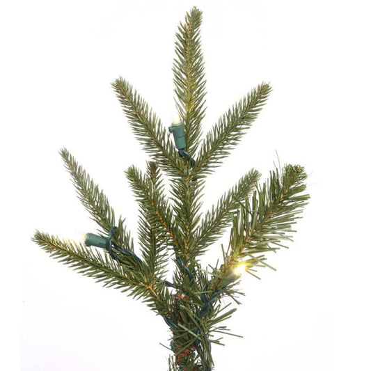 LED 10' Fraiser Fir Tree, Warm White