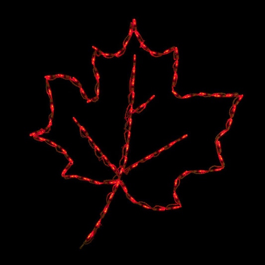 LED Maple Leaf