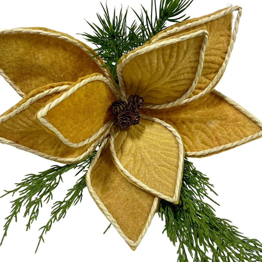 6 Mustard Gold Poinsettia