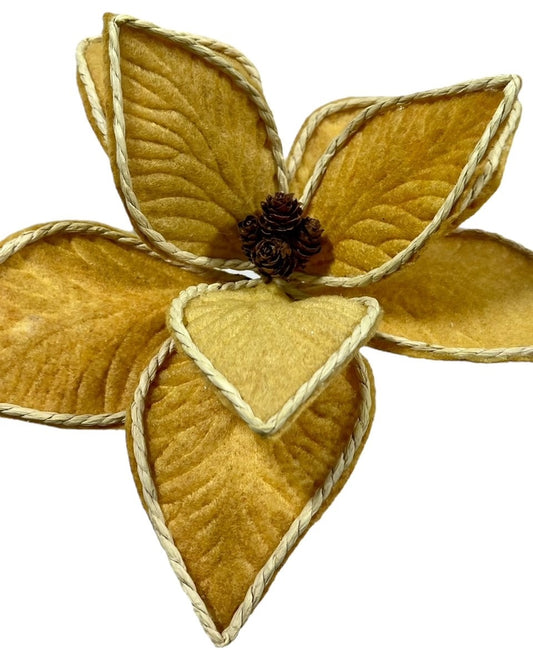 6 Mustard Gold Poinsettia