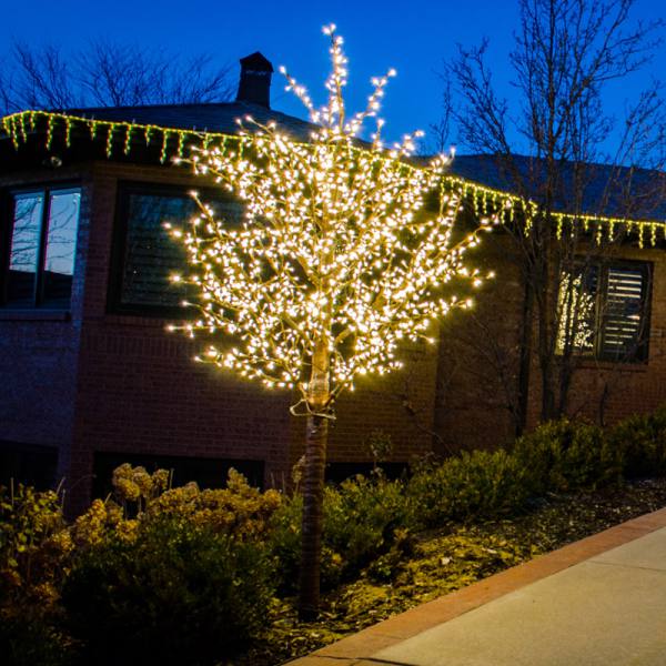 LED 12 Linden Tree, Brown Trunk, Warm White Lights
