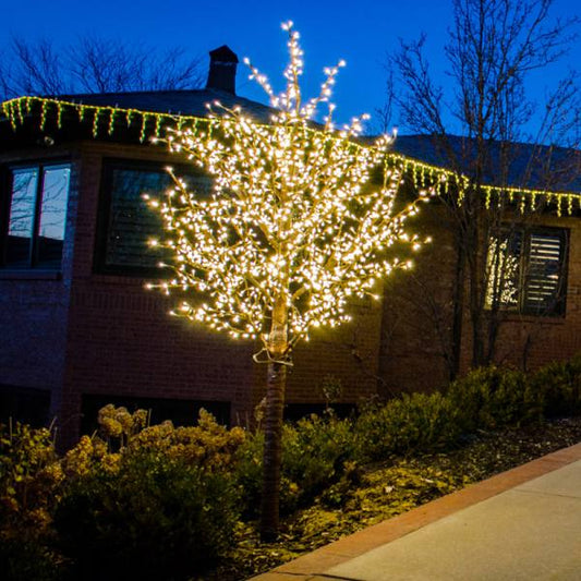 LED 12 Linden Tree, Brown Trunk, Warm White Lights
