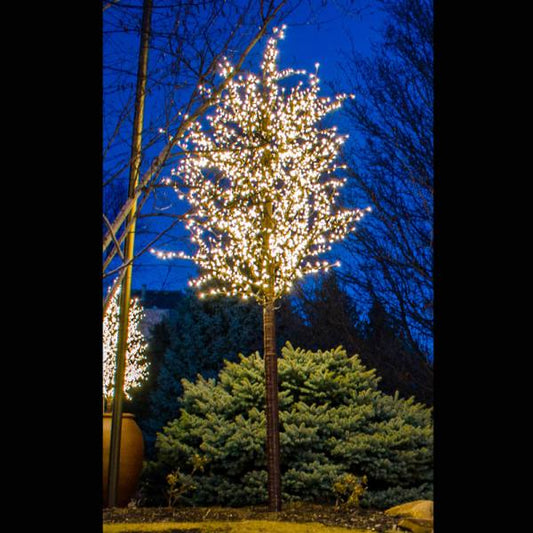 LED 15' Linden Tree, Brown Trunk, Warm White Lights