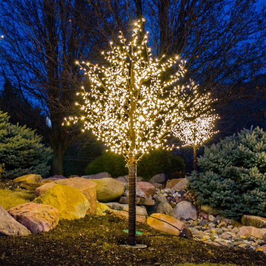 LED 8' Linden Tree, Brown Trunk, Warm White Lights