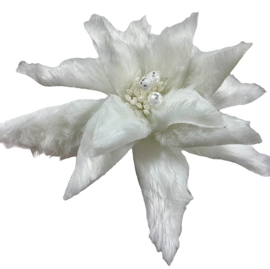4 White Fur Poinsettia