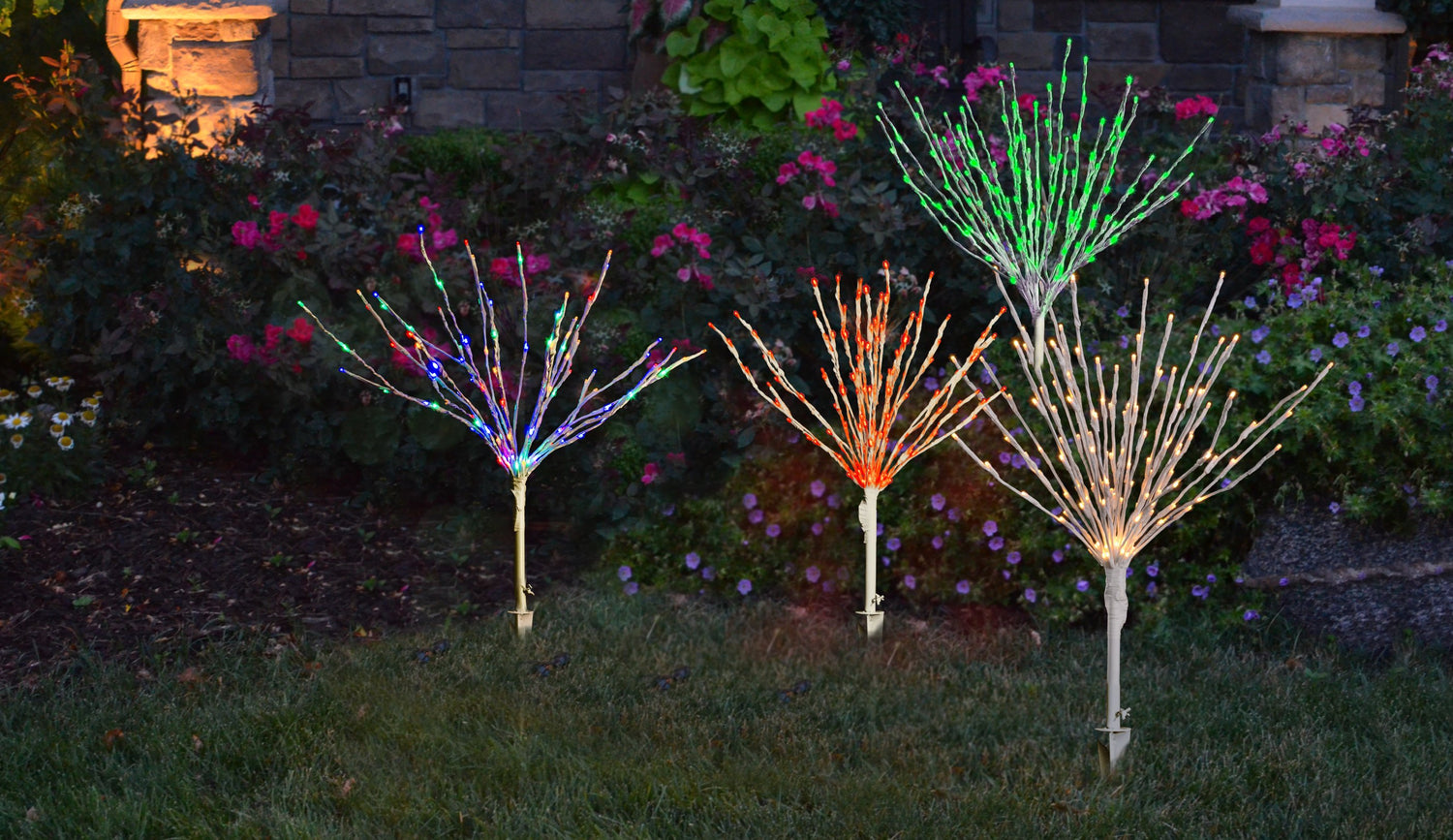 Light Bursts