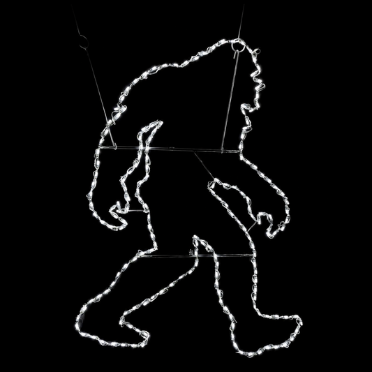 Bigfoot LED Display
