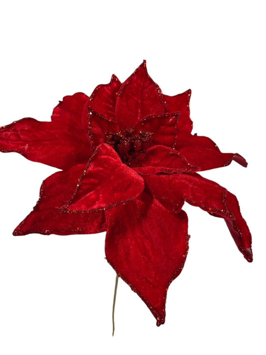 19" Red Velvet with Glitter Outline Poinsettia