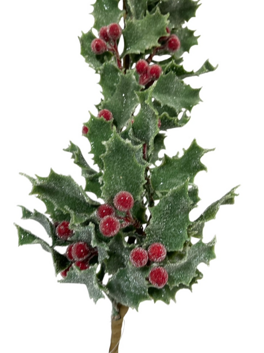 Frosted Holly Pick