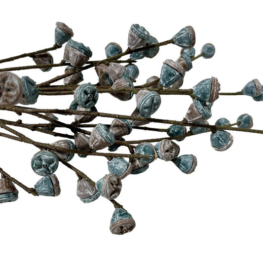 4 Berry Pod Picks