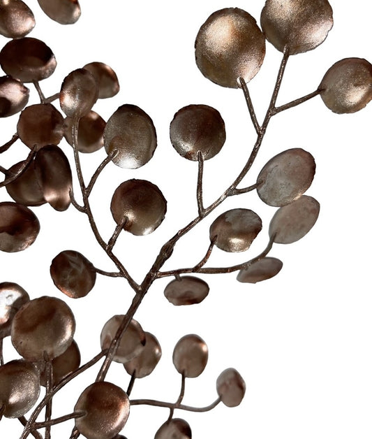 Copper Coin Leaf