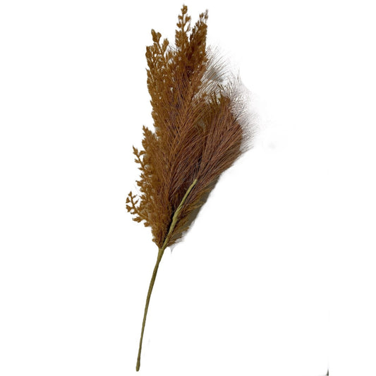 6 Feathery Fall Picks