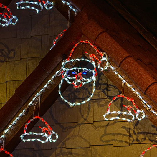 Santa Face