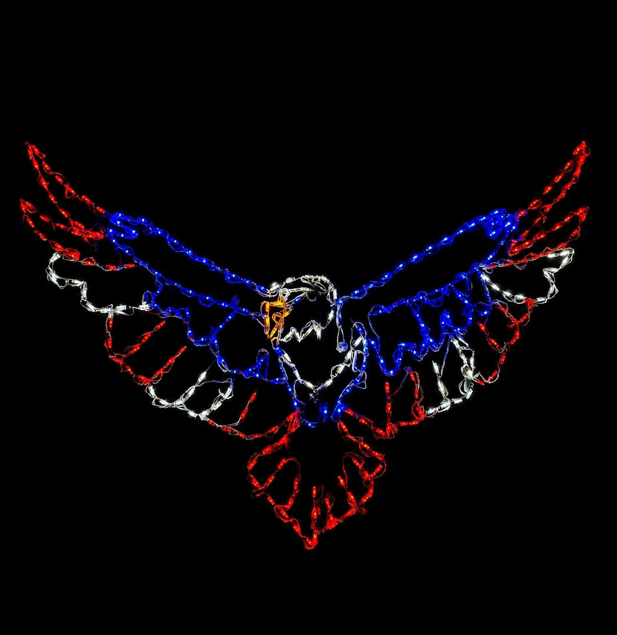 Soaring Eagle