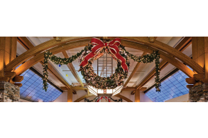 C9 Bulbs Bulk on Wreath and Garland in Hotel in Bellevue, NE, Gretna, NE, Omaha, Papillion, NE, Valley, NE 