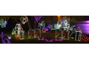 wholesale Holiday Lighting in Yard of Home at Night in Bellevue, Gretna, Omaha, Papillion, and Valley, NE
