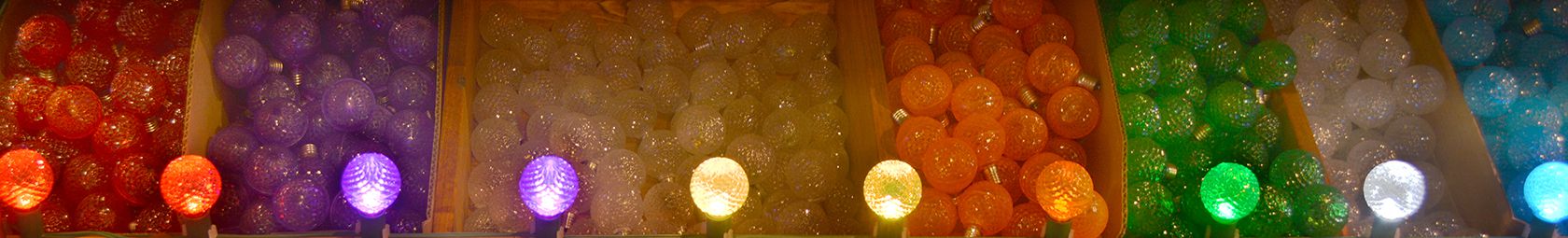 LED G50 Bulbs