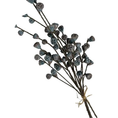 Bundle of 4: Berry Pod Picks