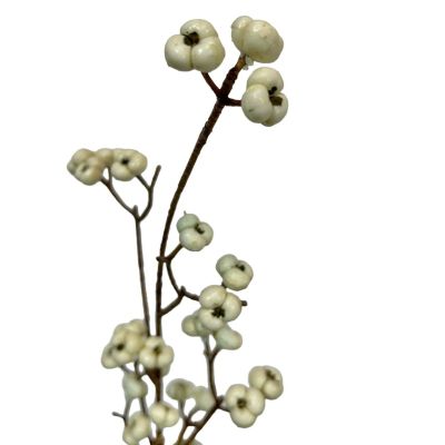 Bundle of 6: Cream Berry Stems