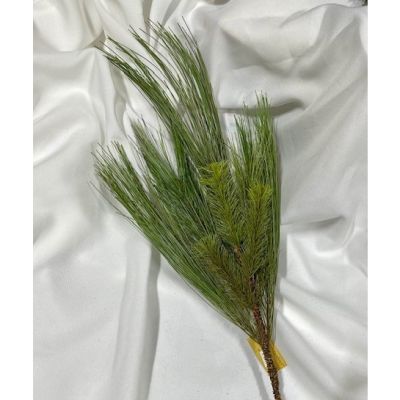 Bundle of 6: Mountain Pine Spray Picks