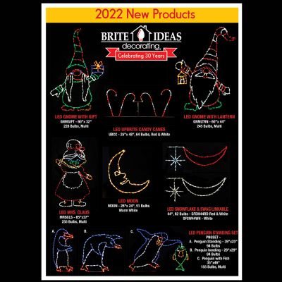 Brite Ideas 2022 4 Page Insert Case 50