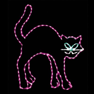 LED Black Cat