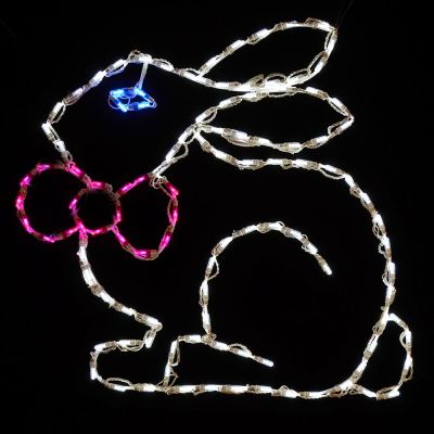 LED Bunny