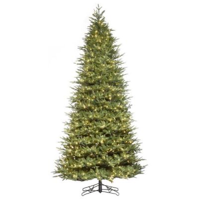 12' Frasier Fir Tree