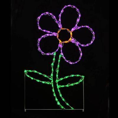 LED Daisy Purple