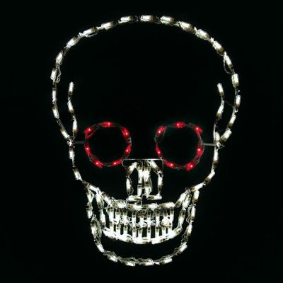 LED Skull