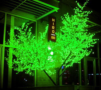 Green Cherry Blossom Tree